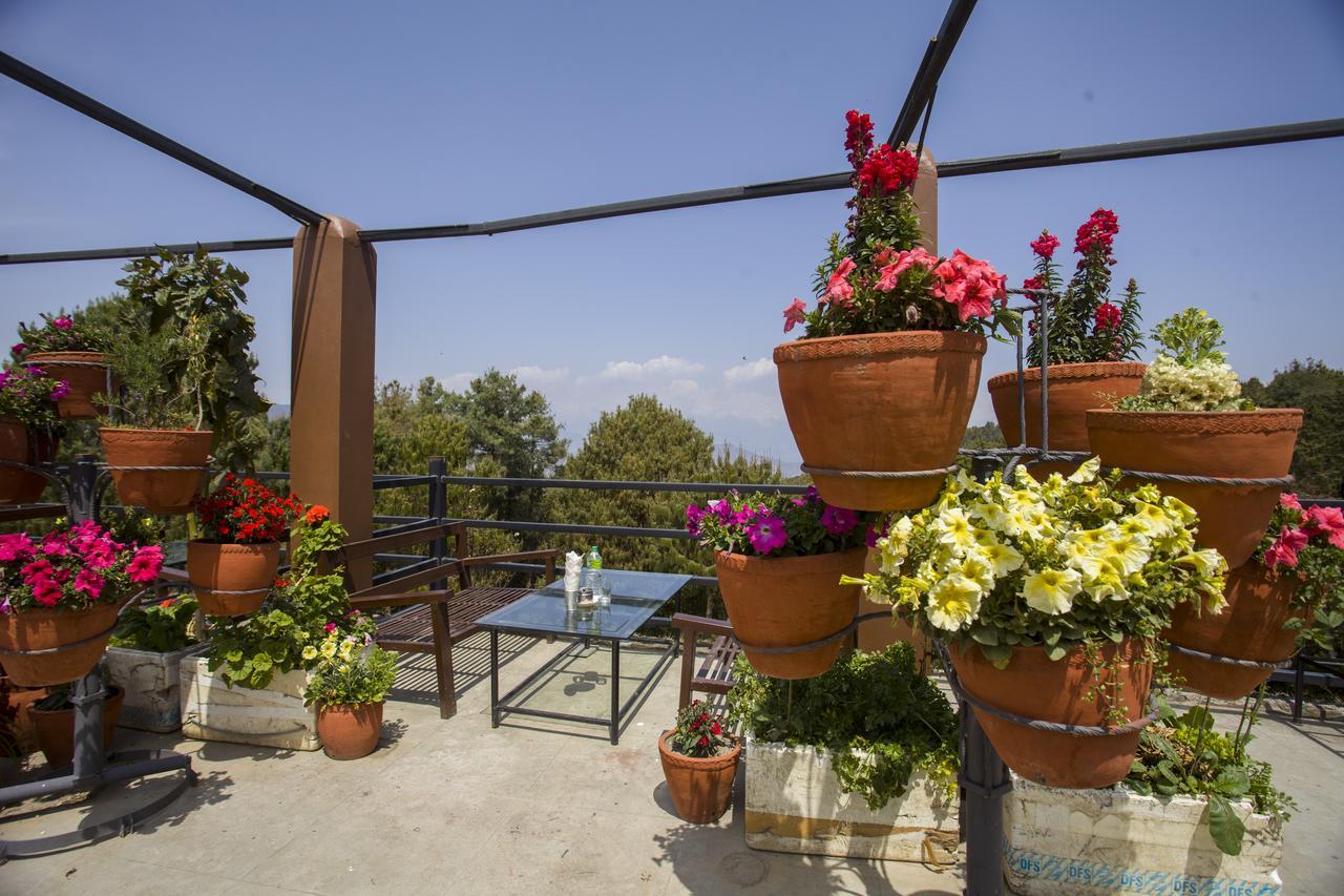 Langtang View Nagarkot Bed And Breakfast מראה חיצוני תמונה